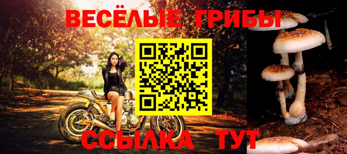 Галлюциногенные грибы ЛСД  Вход с VPN  Смоленск 